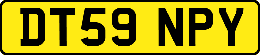 DT59NPY