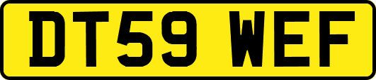 DT59WEF