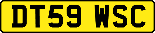 DT59WSC