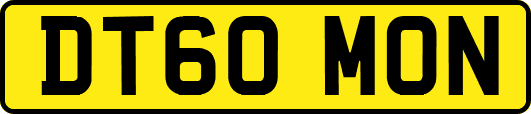 DT60MON
