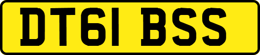 DT61BSS