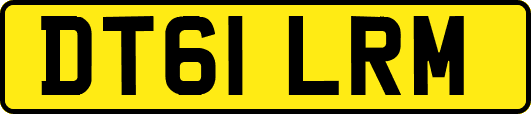 DT61LRM