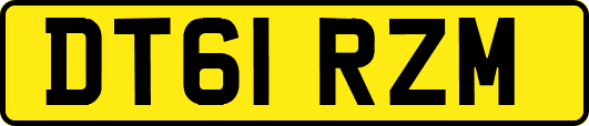 DT61RZM