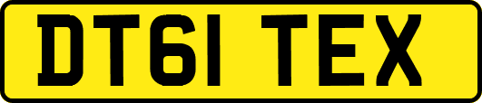 DT61TEX