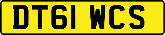 DT61WCS