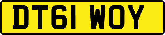 DT61WOY