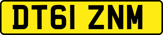DT61ZNM