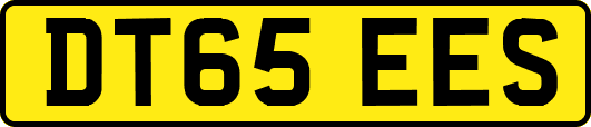 DT65EES