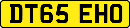 DT65EHO