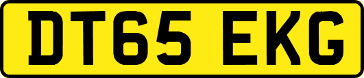 DT65EKG