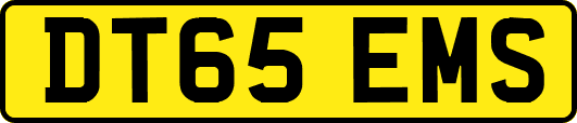 DT65EMS