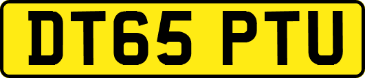 DT65PTU