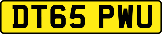 DT65PWU