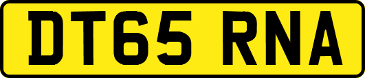 DT65RNA