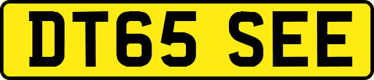 DT65SEE