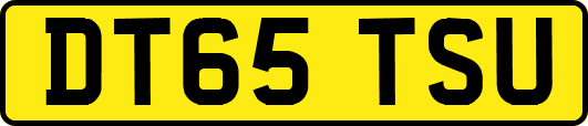DT65TSU