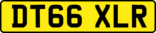 DT66XLR