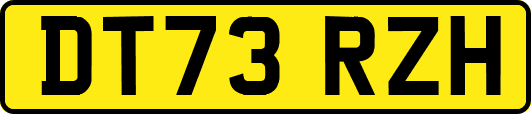 DT73RZH