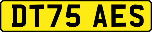 DT75AES
