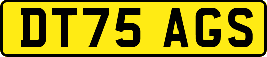 DT75AGS