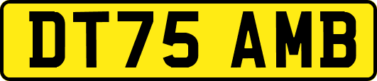 DT75AMB