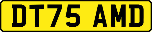 DT75AMD