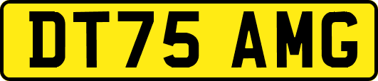 DT75AMG