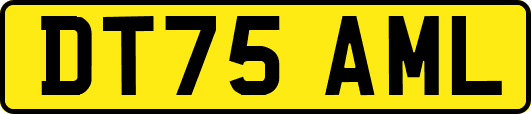 DT75AML