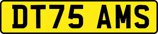 DT75AMS