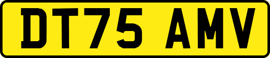 DT75AMV