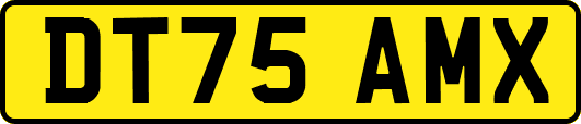 DT75AMX