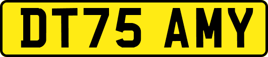 DT75AMY