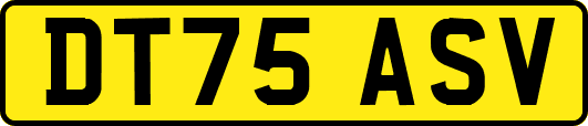 DT75ASV