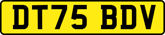DT75BDV