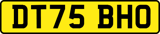 DT75BHO