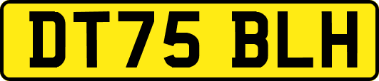 DT75BLH