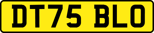DT75BLO