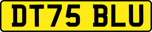 DT75BLU