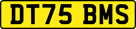 DT75BMS