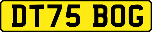 DT75BOG