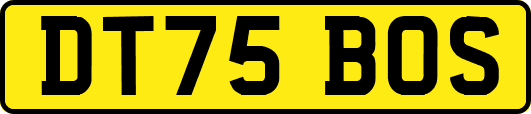 DT75BOS