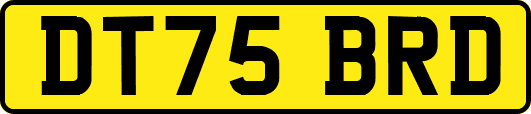 DT75BRD