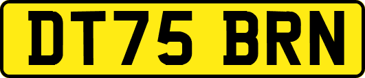 DT75BRN