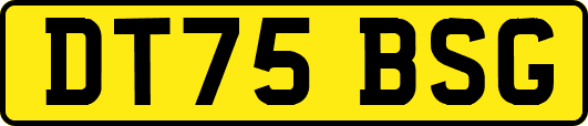 DT75BSG