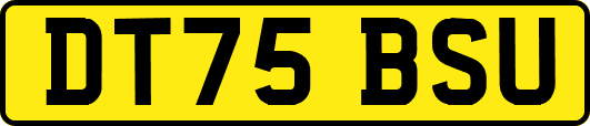 DT75BSU