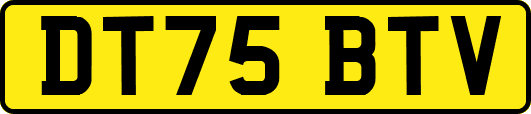 DT75BTV