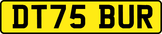 DT75BUR