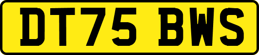 DT75BWS