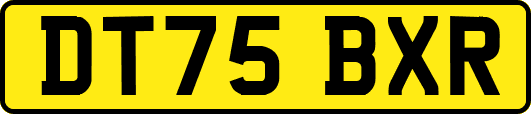 DT75BXR
