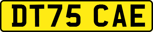 DT75CAE